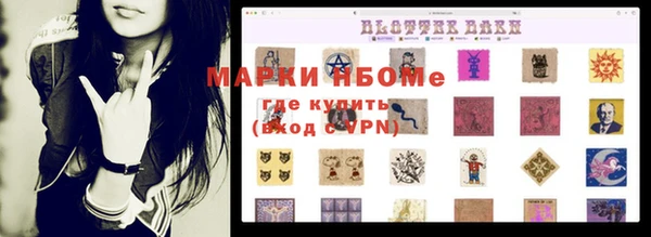 гашик Семилуки
