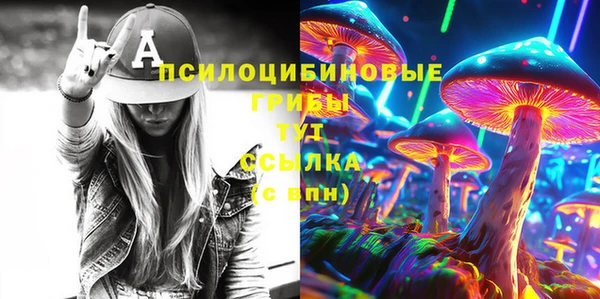 ешки Семикаракорск