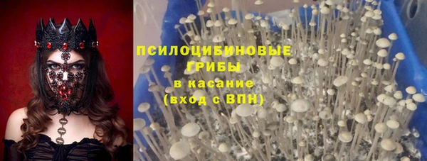 гашик Семилуки