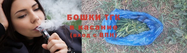 гашик Зеленокумск