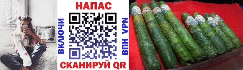 Марихуана Amnesia  купить наркоту  Судогда 